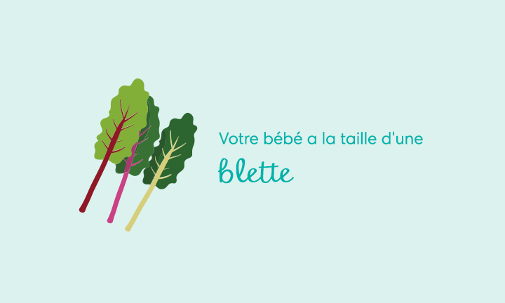 Votre Grossesse Semaine Apres Semaine Semaine 37