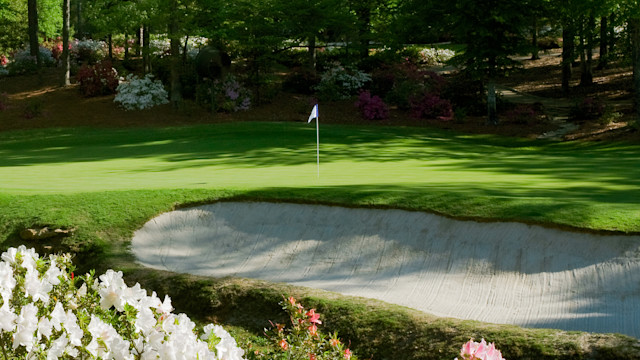 Take a Few Minutes to Escape to Golf