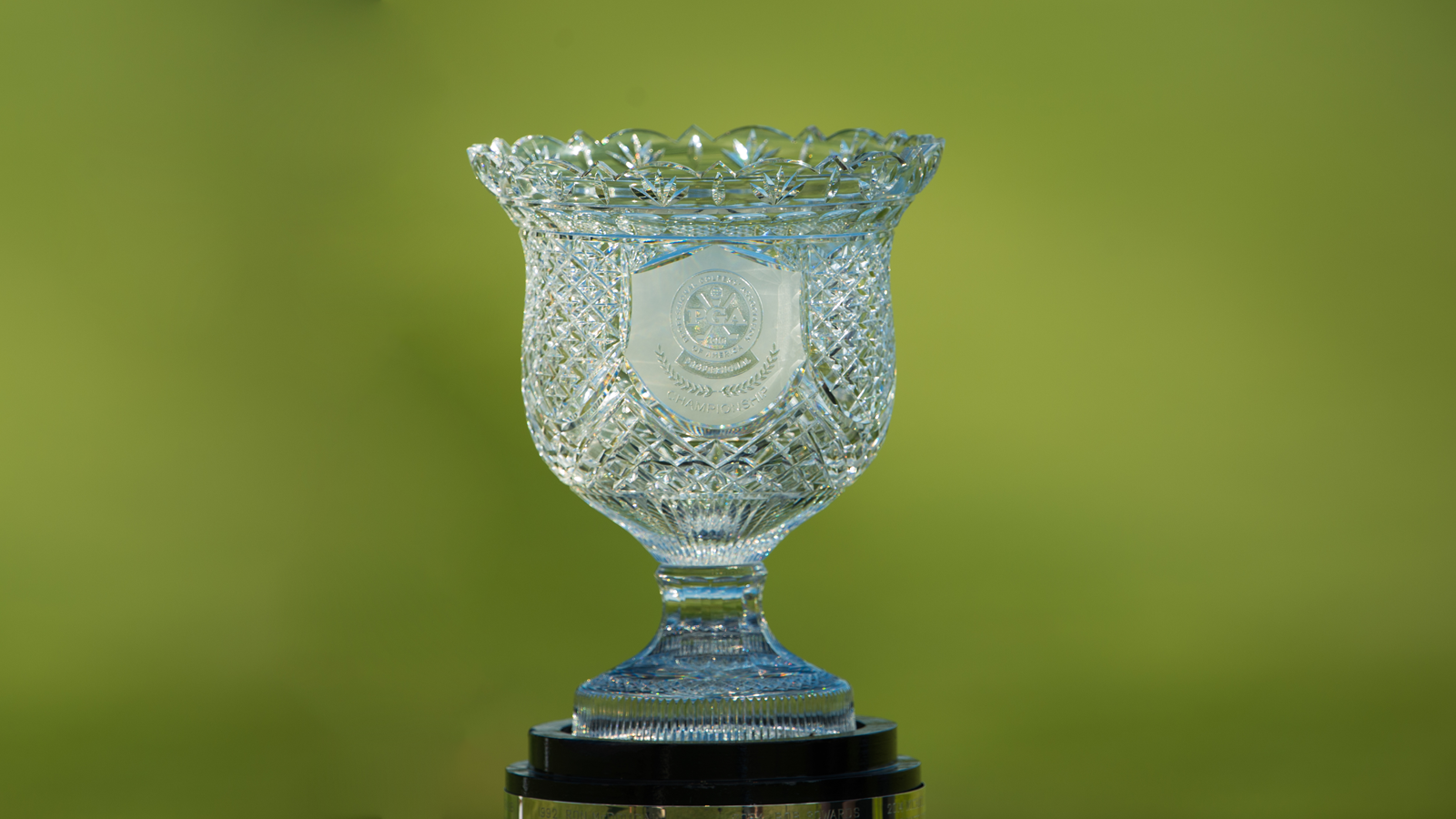 How to Watch the 2021 PGA Professional Championship
