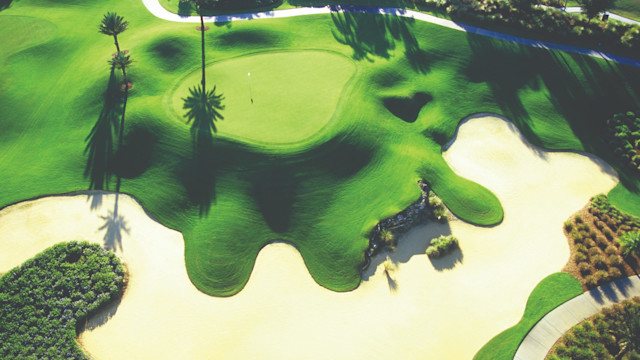 The Palmer Course at Reunion Resort.