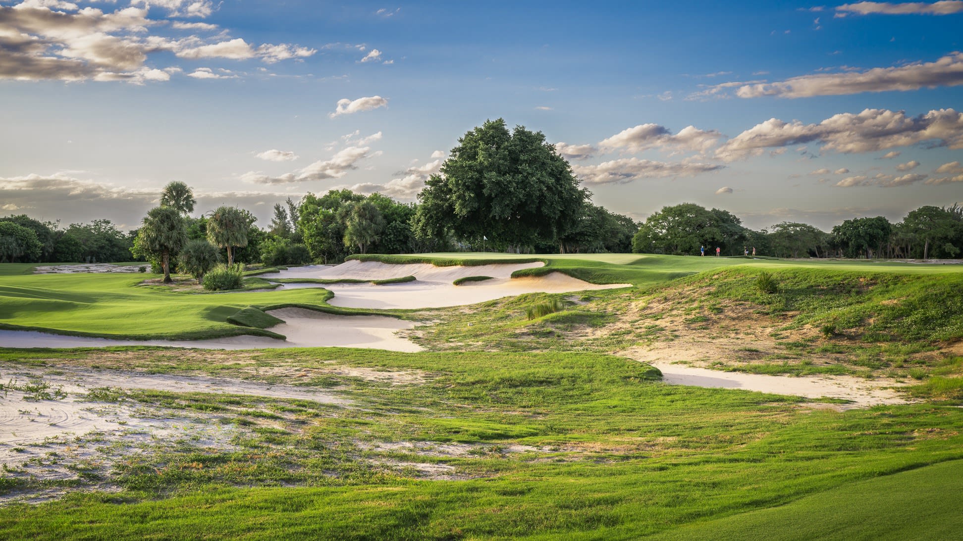The 17th hole at The Park.
