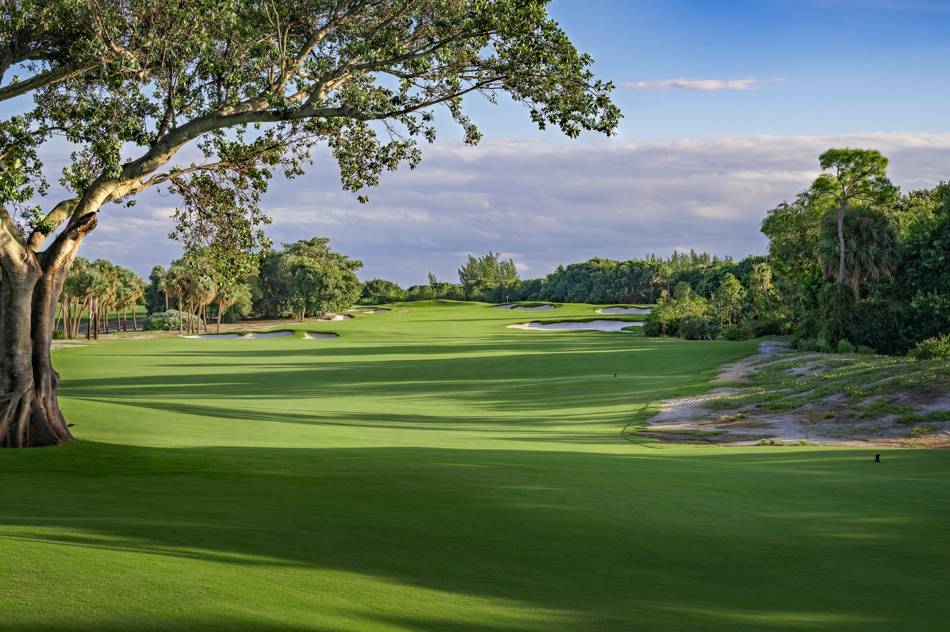 The 15th hole at The Park.