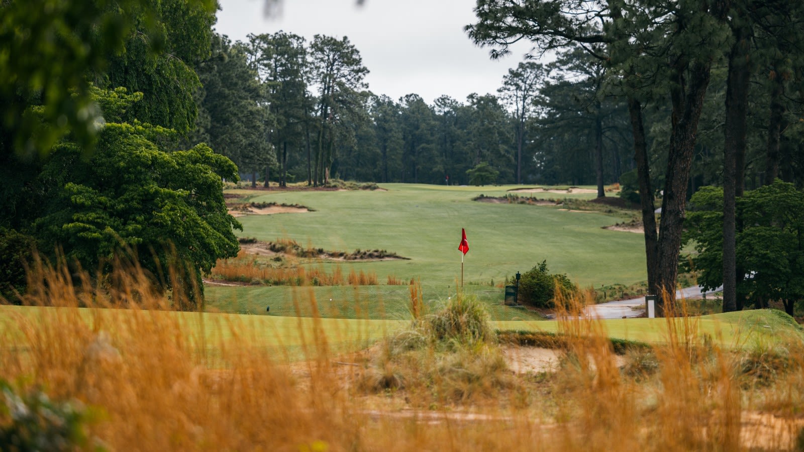 The 16th green and 7th hole in the distance at Mid Pines. (Photo by Matt Hahn)