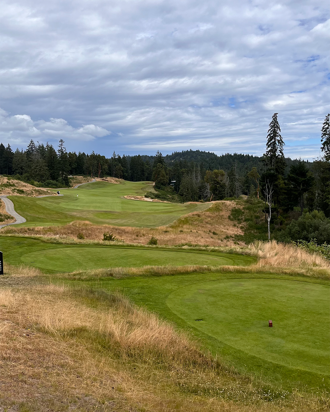 The Mountain Course at Bear Mountain Resort