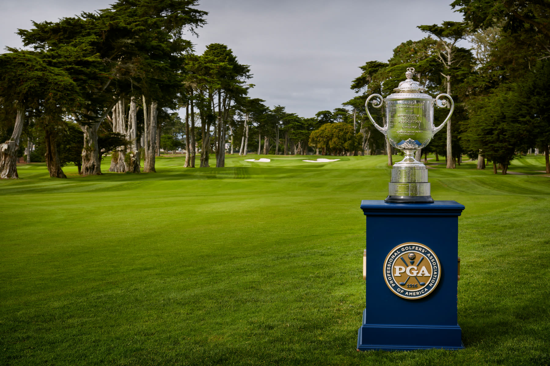 2020 Pga Championship Postponed