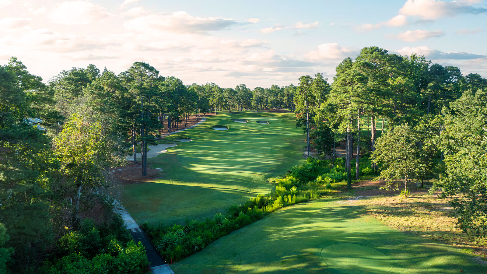 Incredible Golf Trip Destinations: Meet the Llamas at North Carolina’s Talamore Golf Resort