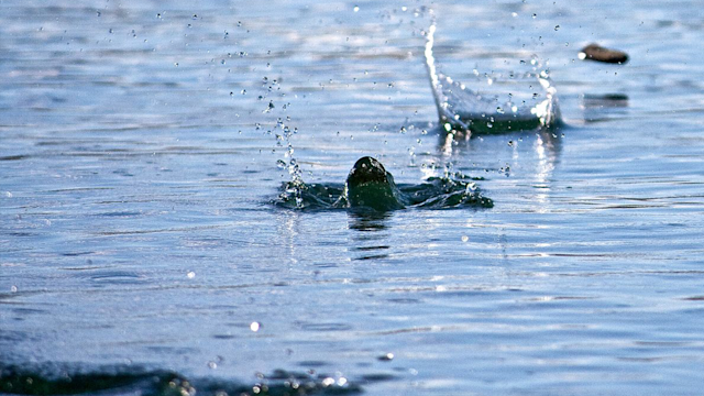 “Skipping Rocks” Will Help You Generate More Power in Your Golf Swing