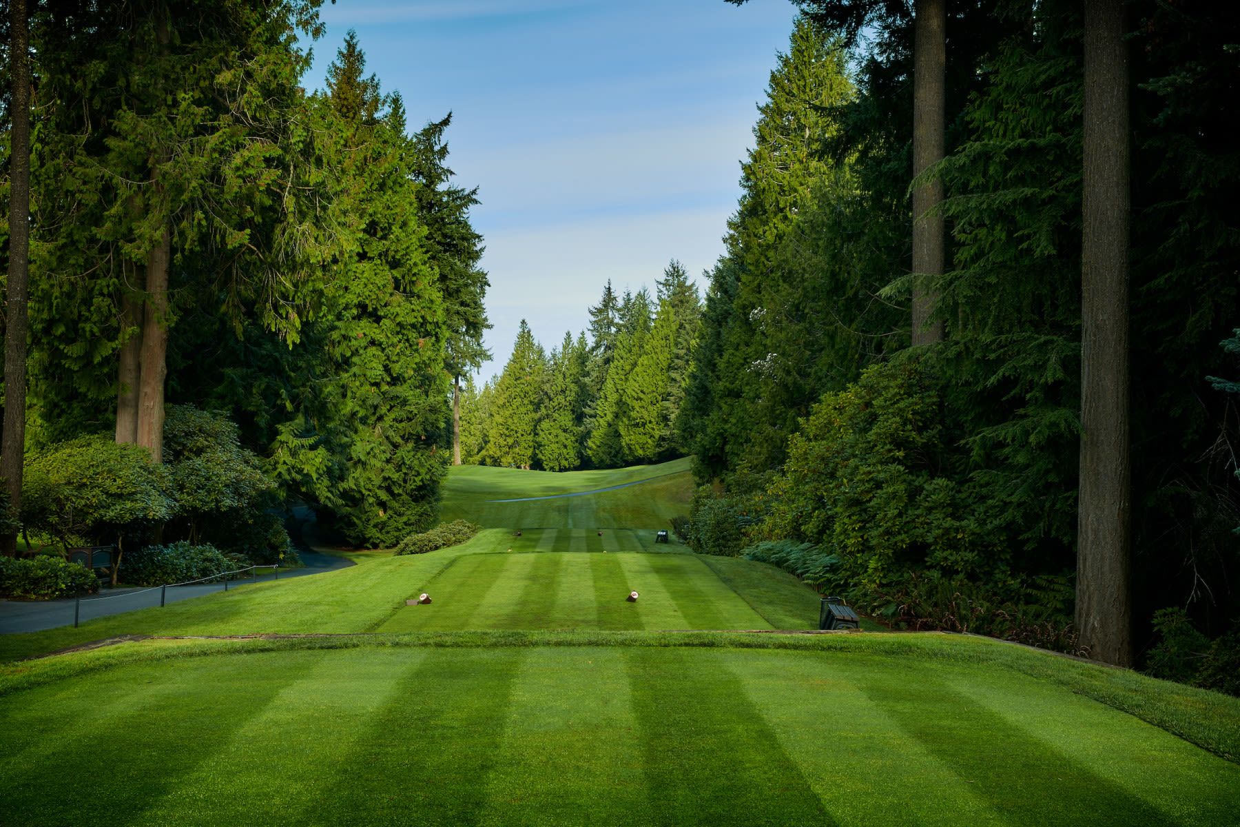 The tenth hole at Sahalee Country Club classifies as a scary tee shot.