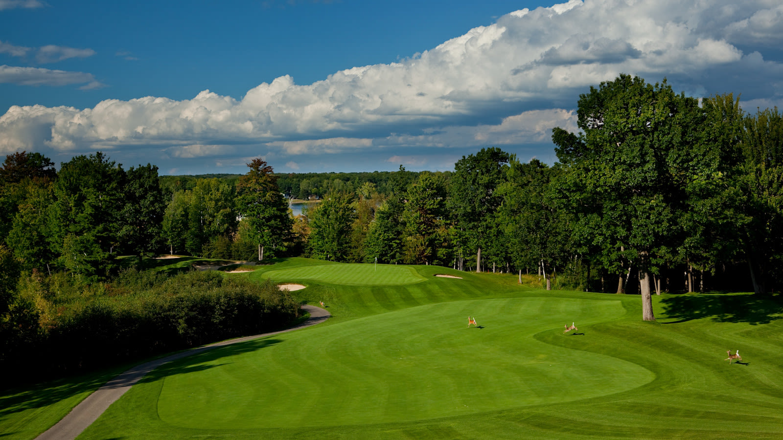 The St. Ives Course at Tullymore Golf Resort.