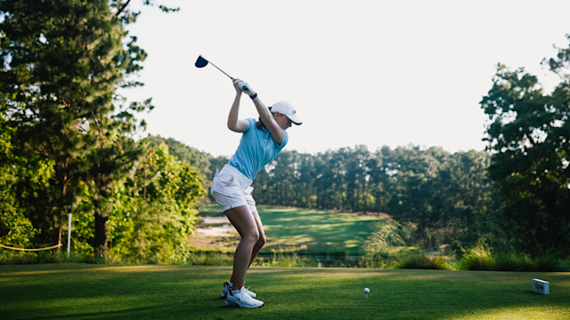 What Makes Pine Needles Special