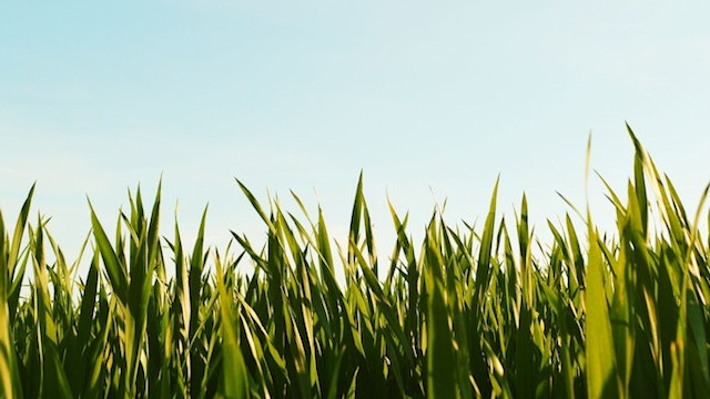 Finding your way to the game