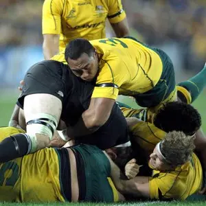 Wallabies to boss breakdown