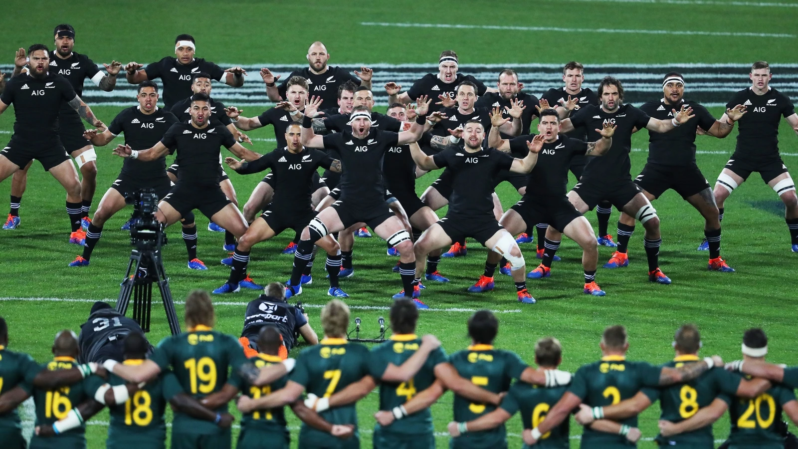 Springboks renew rivalry with All Blacks in World Cup opener