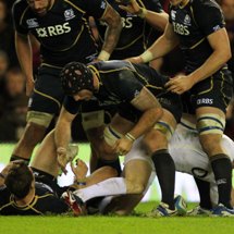 Andy after perspective