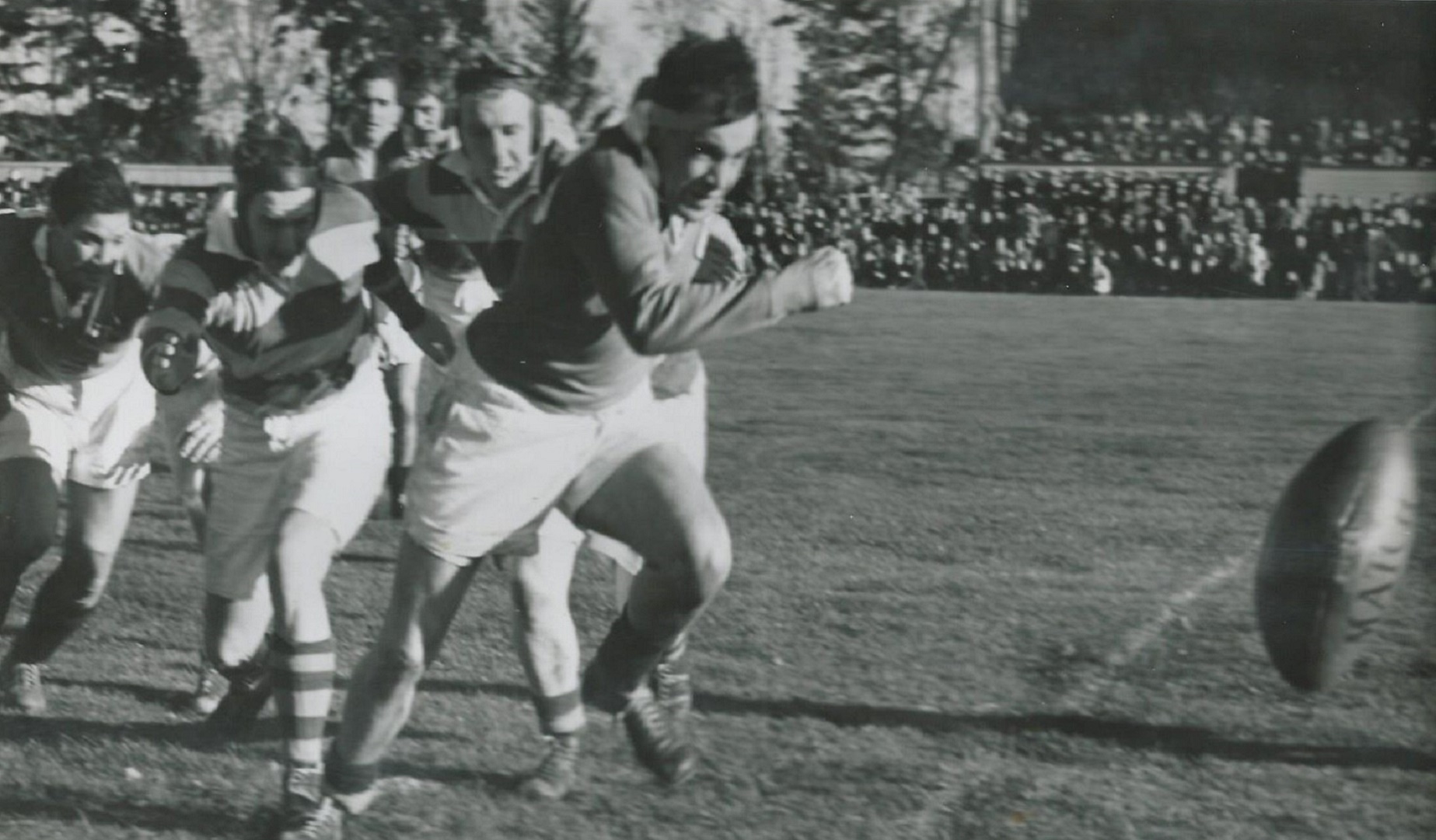 Your Club Your Lions: Malone RFC