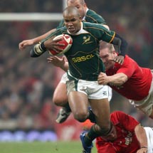 Boks bounce back to pulverise Pumas