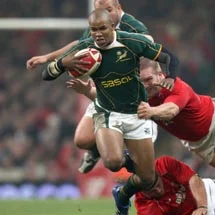 Boks bounce back to pulverise Pumas