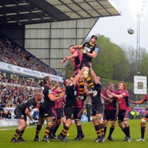 Wasps want new stadium