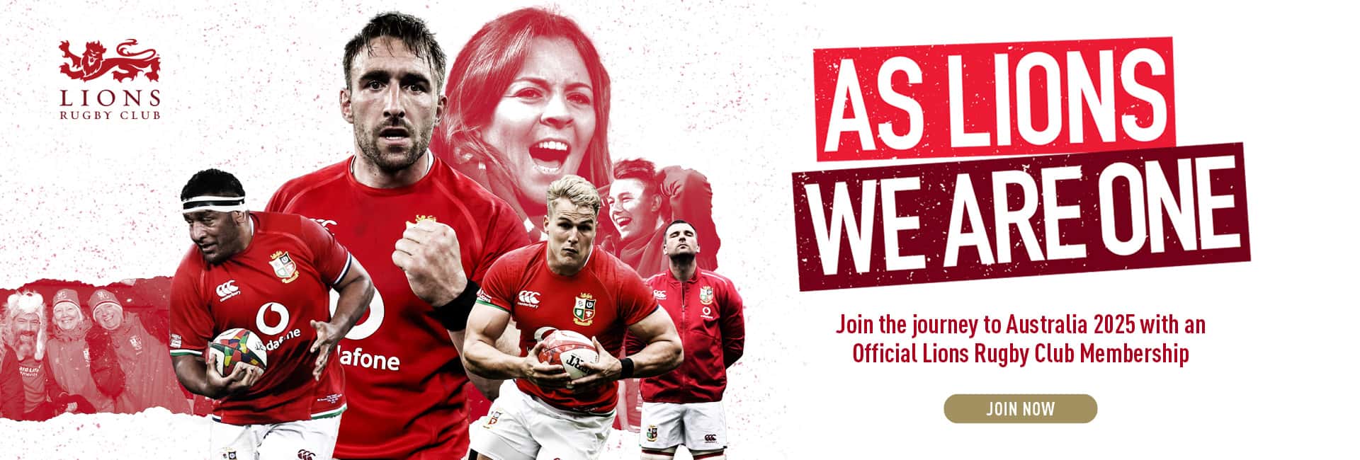 Join the Lions Rugby Club