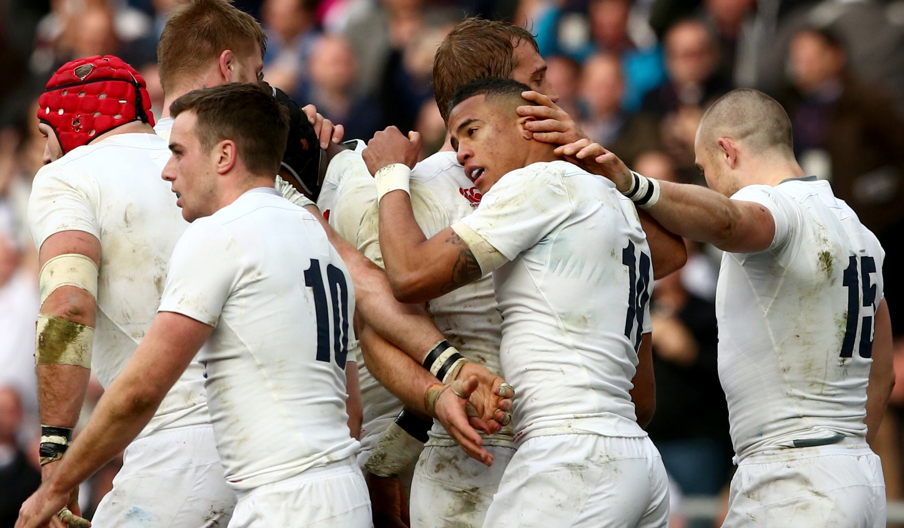 LionsWatch: Robshaw ecstatic with England resilience