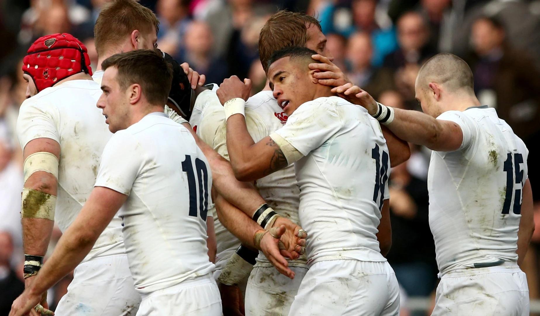 LionsWatch: Robshaw ecstatic with England resilience