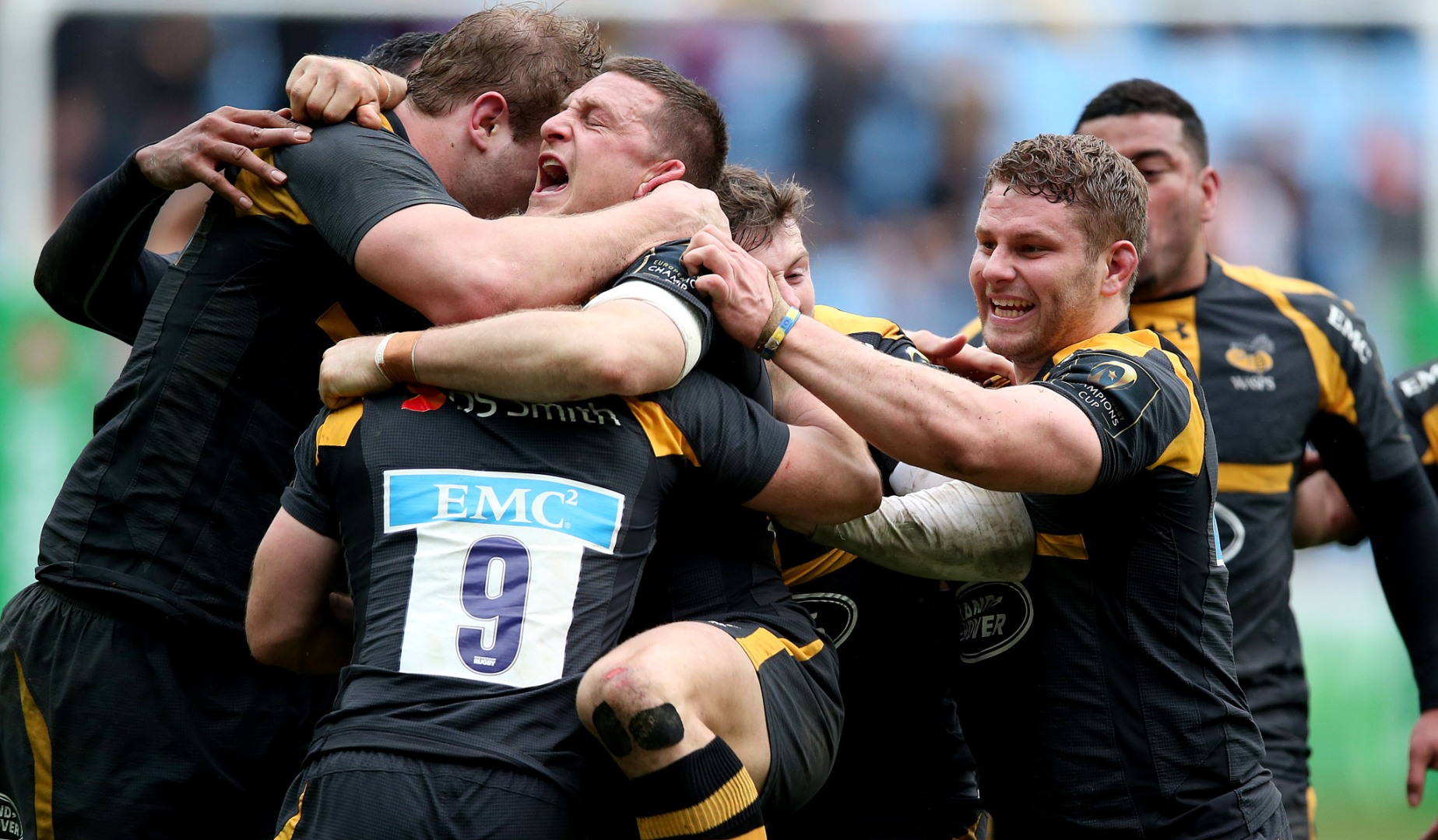LionsWatch Club Profile: Wasps