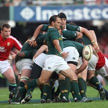 Lions foes find glory in Japan