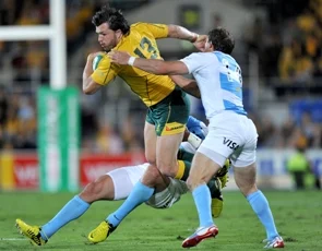 Wallabies have nothing to lose