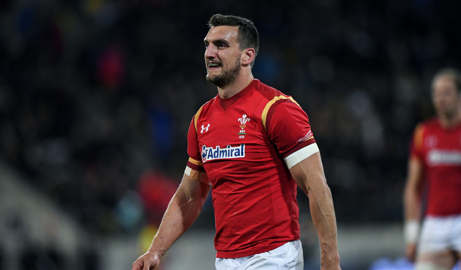 LionsWatch: Warburton and Wales will not underestimate Japan