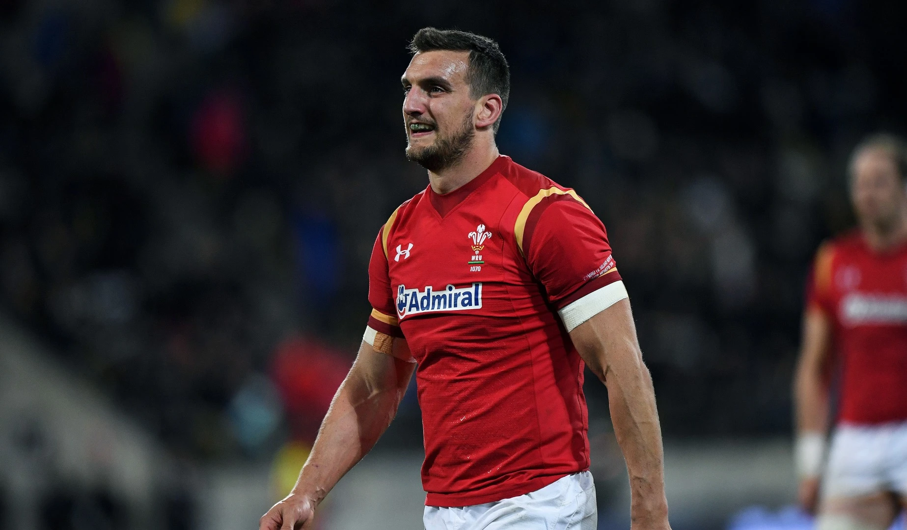 LionsWatch: Warburton and Wales will not underestimate Japan