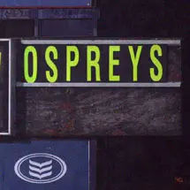 Foster flys into Ospreys nest