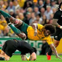 Wallabies choose experience