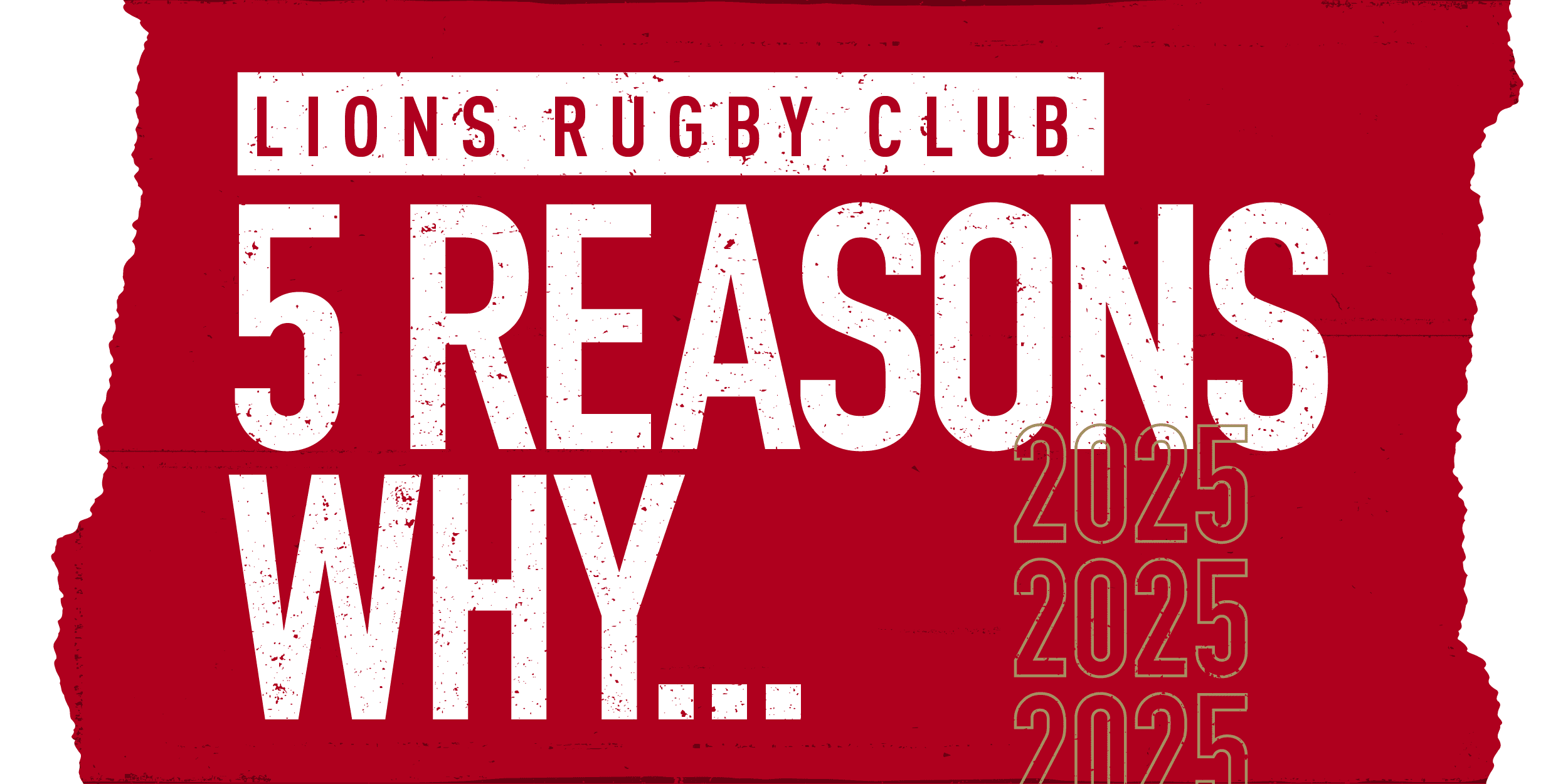 Five reasons why: Join the Lions Rugby Club