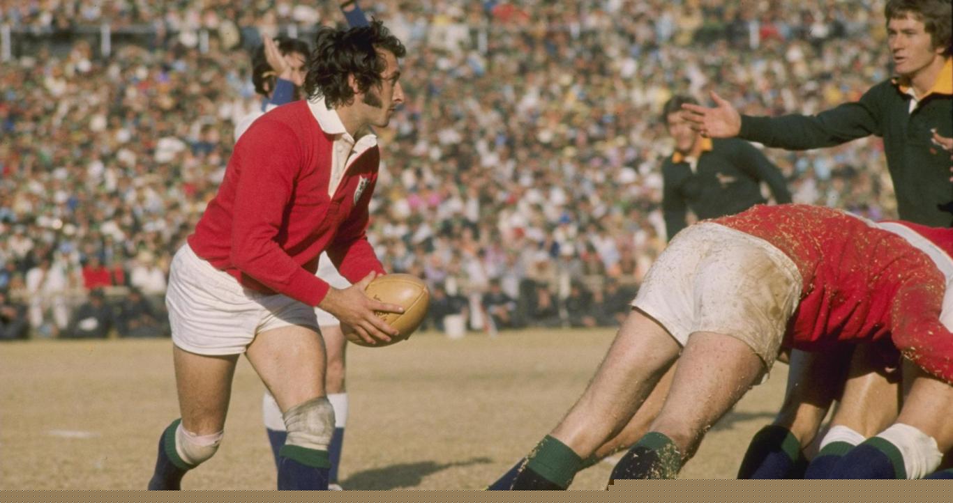 When a snake met a Lion