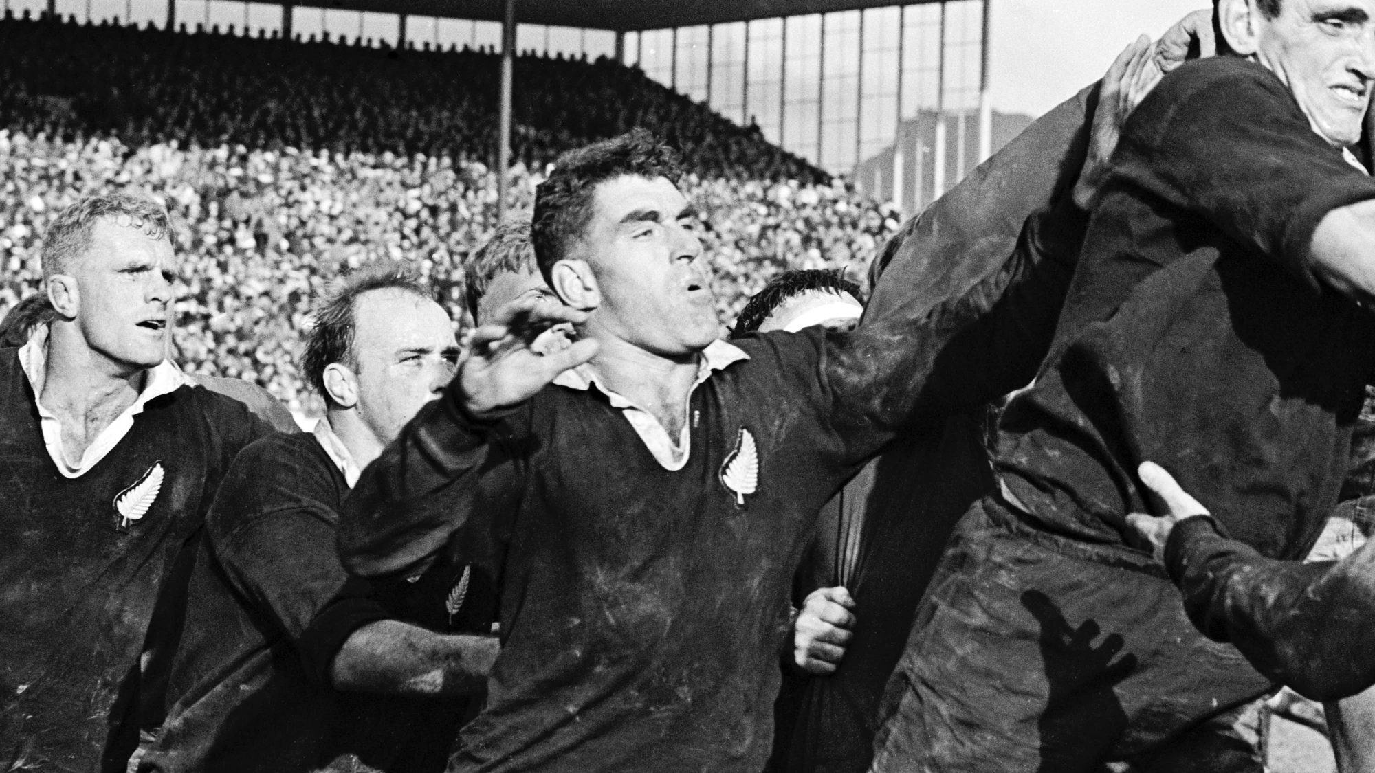 Lions pay tribute to New Zealand's 'greatest warrior' Meads