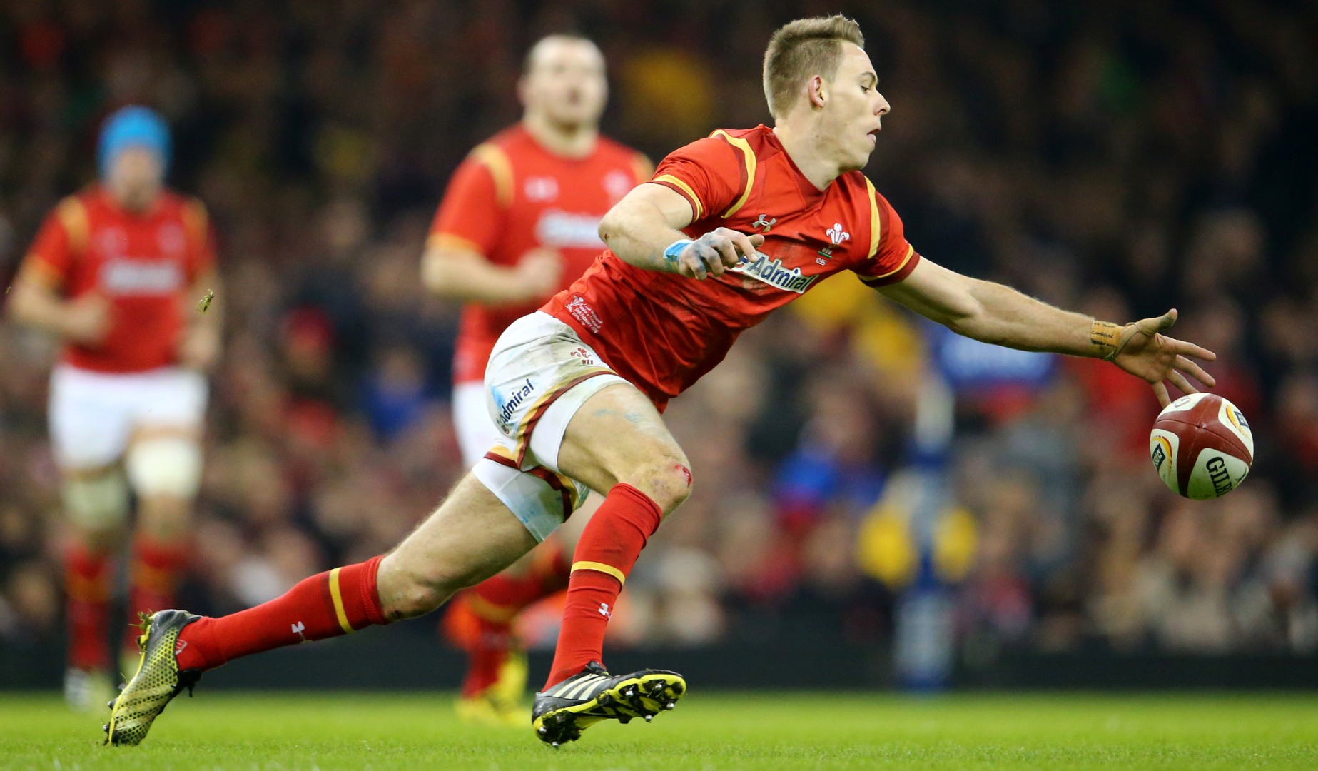 LionsWatch: Williams shines as Wales beat Argentina