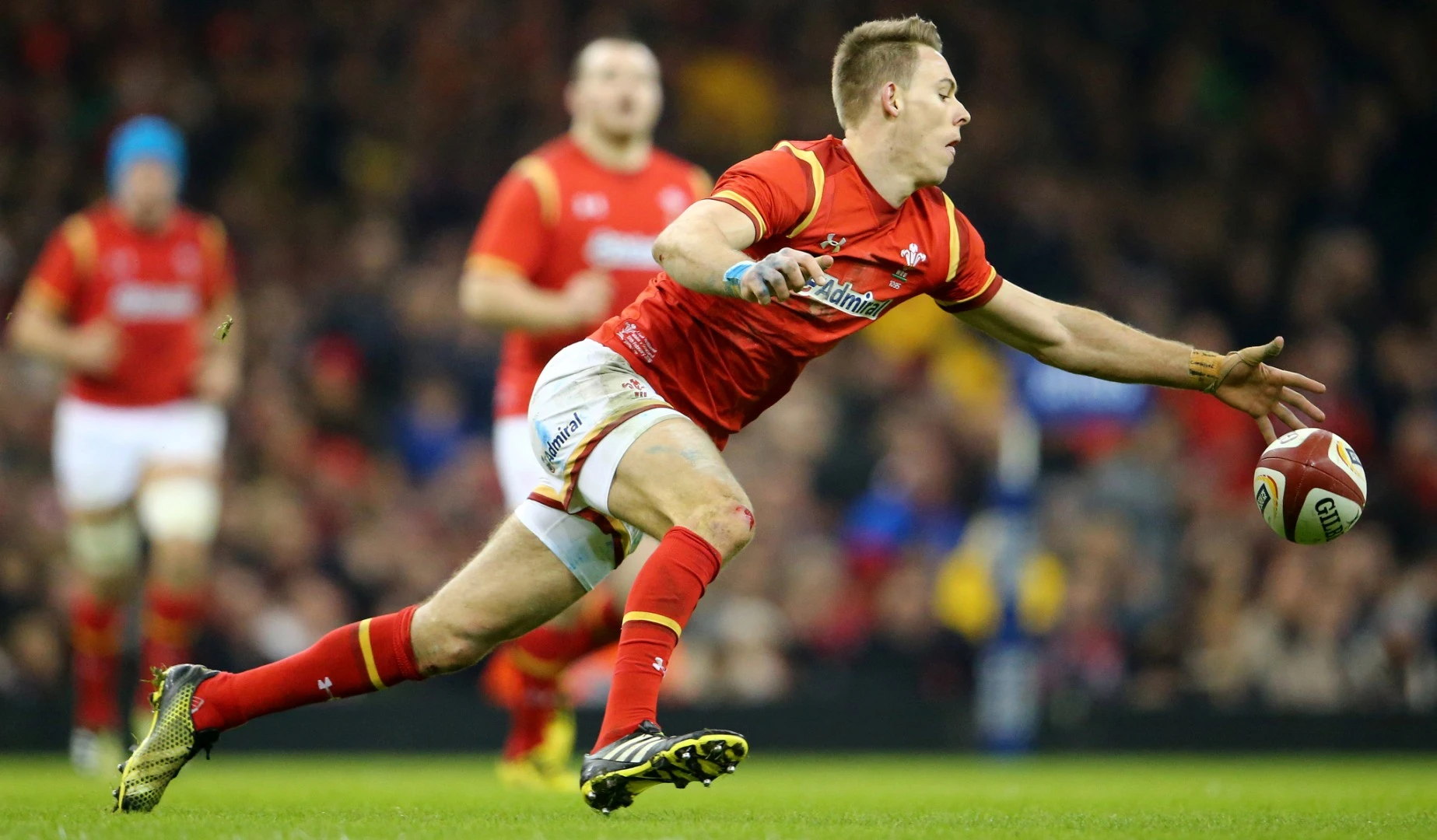 LionsWatch: Williams shines as Wales beat Argentina