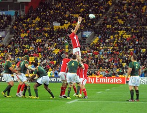 Luke's Lions dream in tatters