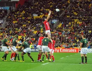 Luke's Lions dream in tatters