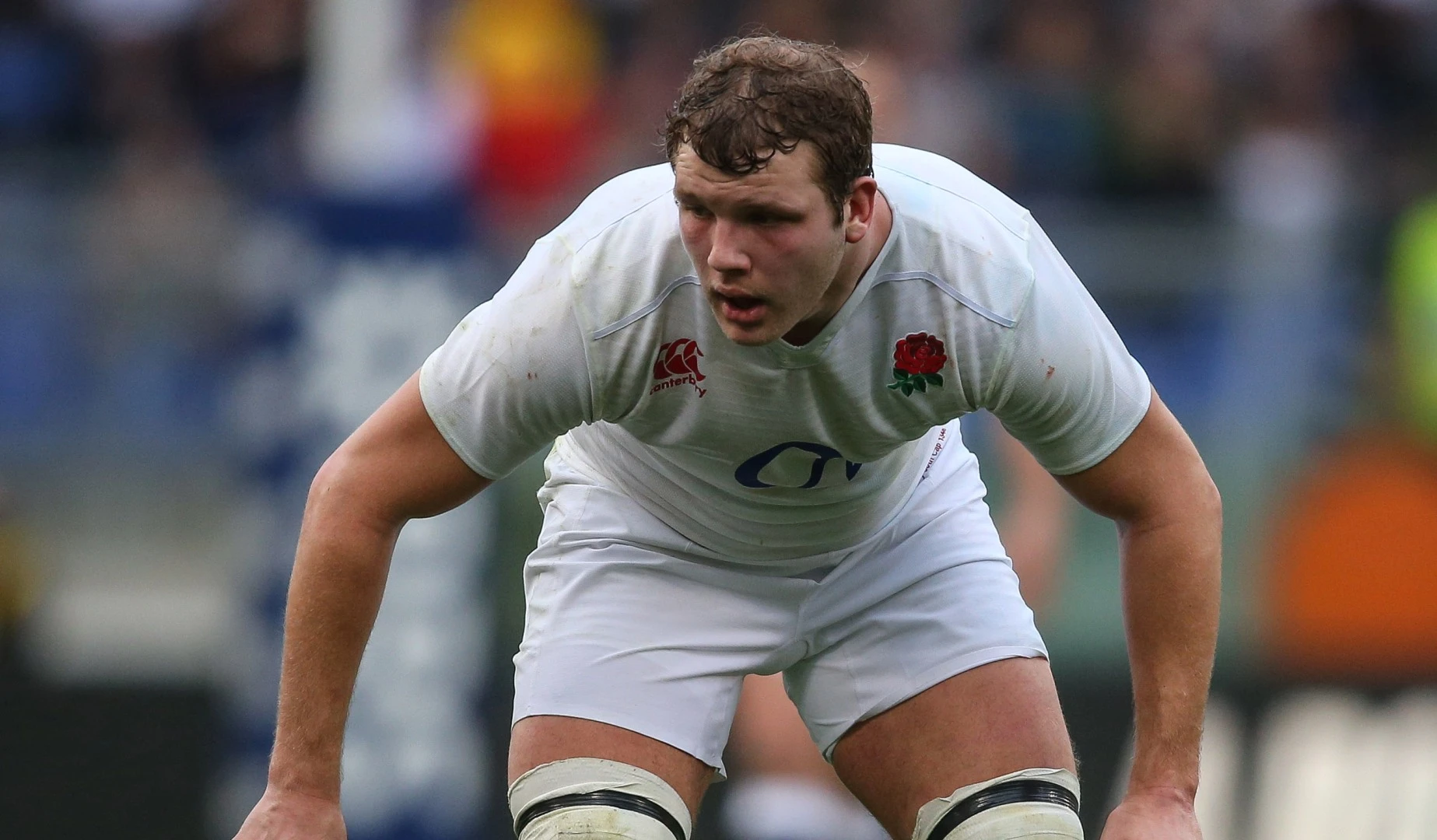 LionsWatch: Seismic second rows inspire successful weekend