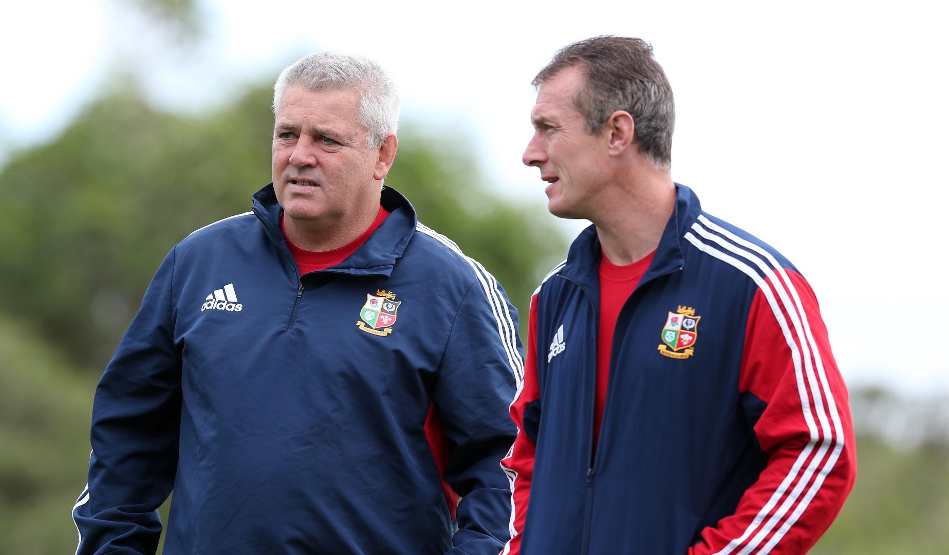 Howley takes Wales role in Gatland absence