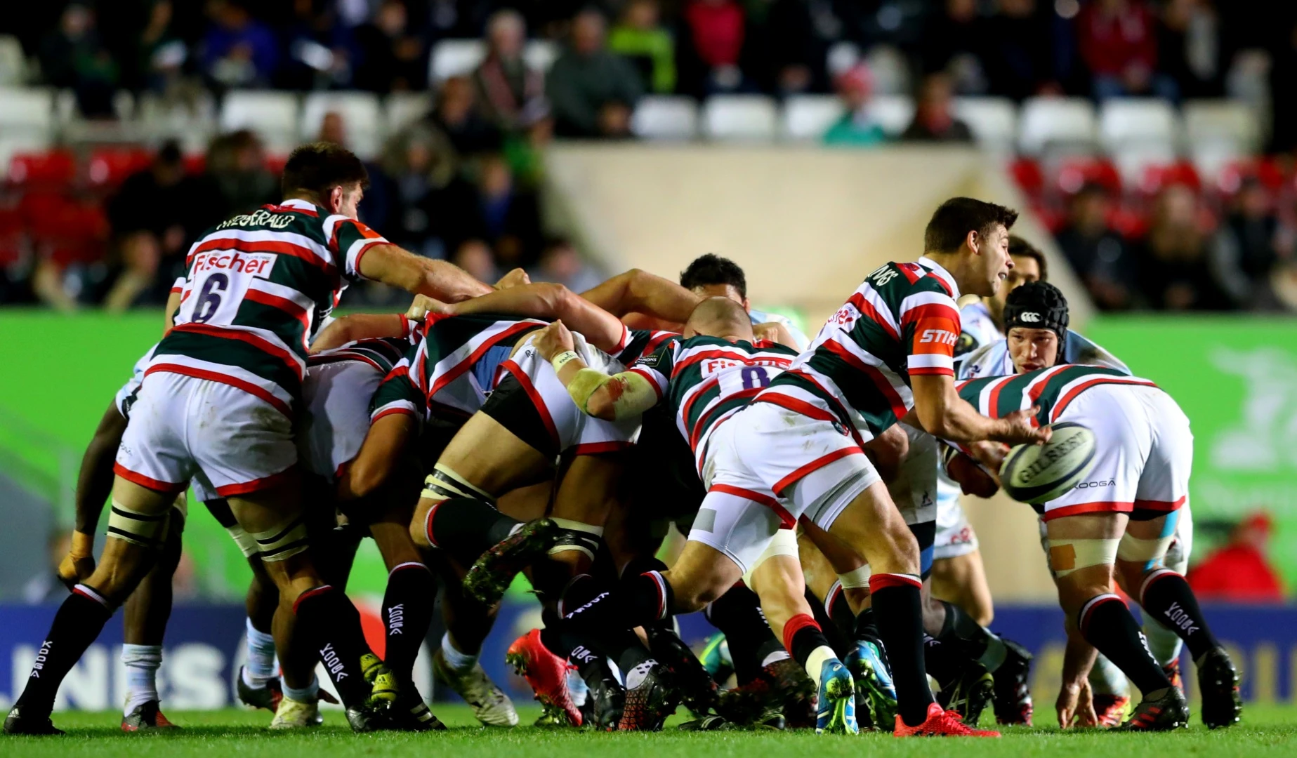 LionsWatch Club Profile: Leicester Tigers