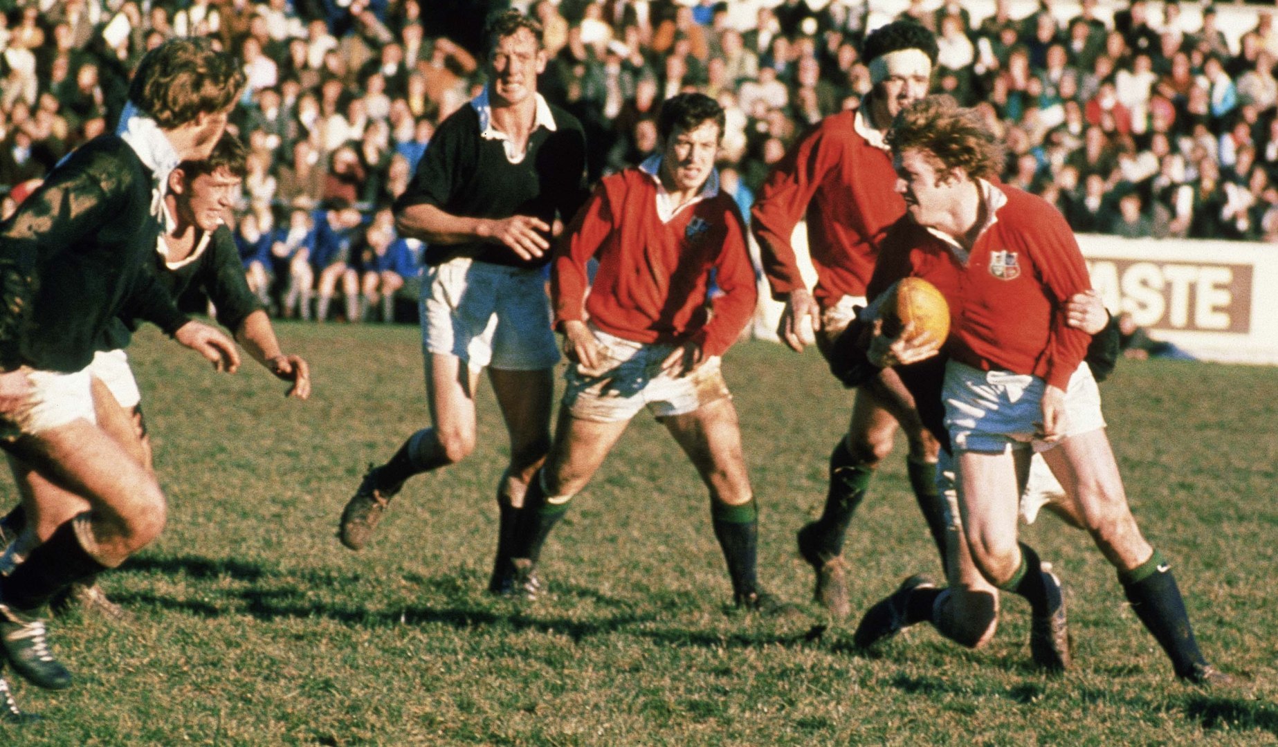 Lions Changing Roles: Flankers