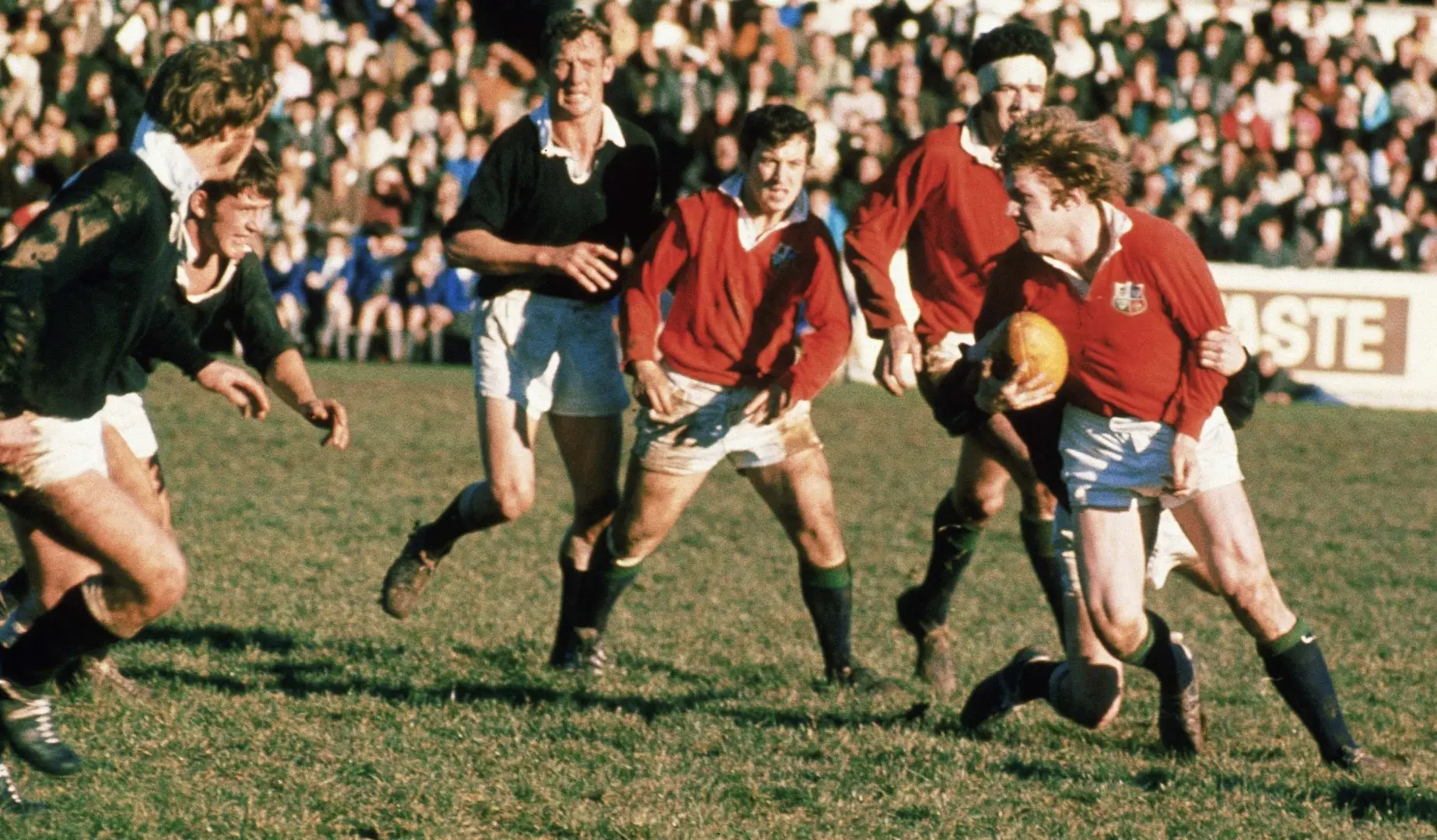 Lions Changing Roles: Flankers