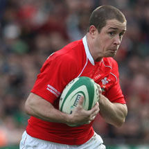 Lion stars for Babaas