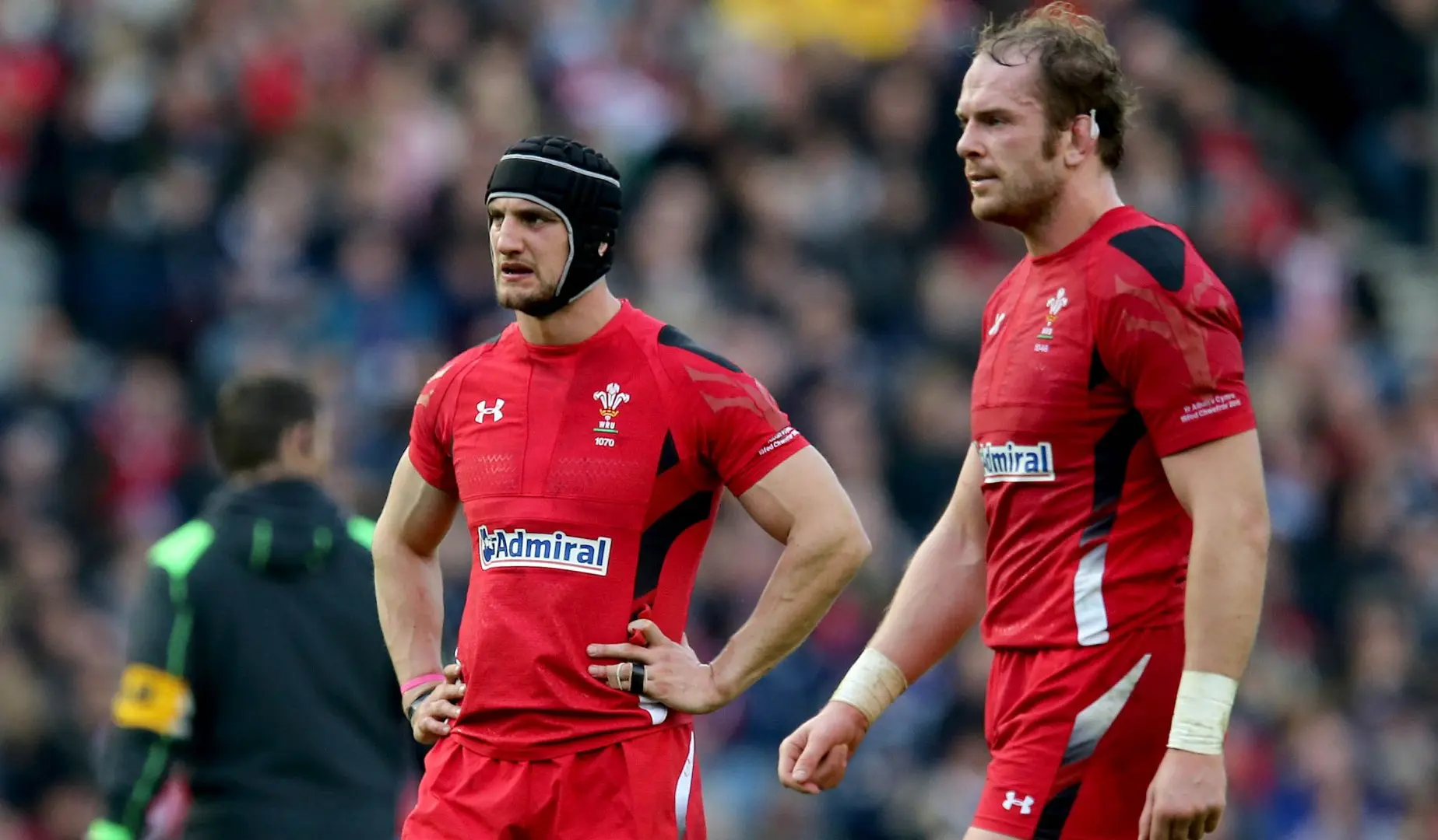 LionsWatch: Howley opts for experience in Rome