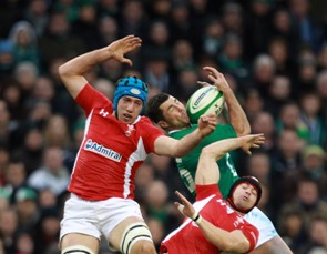 Tipuric tipped to be a Lion