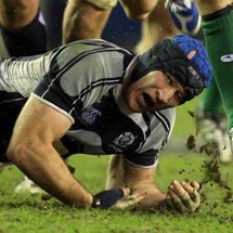 Scotland lose Strokosch