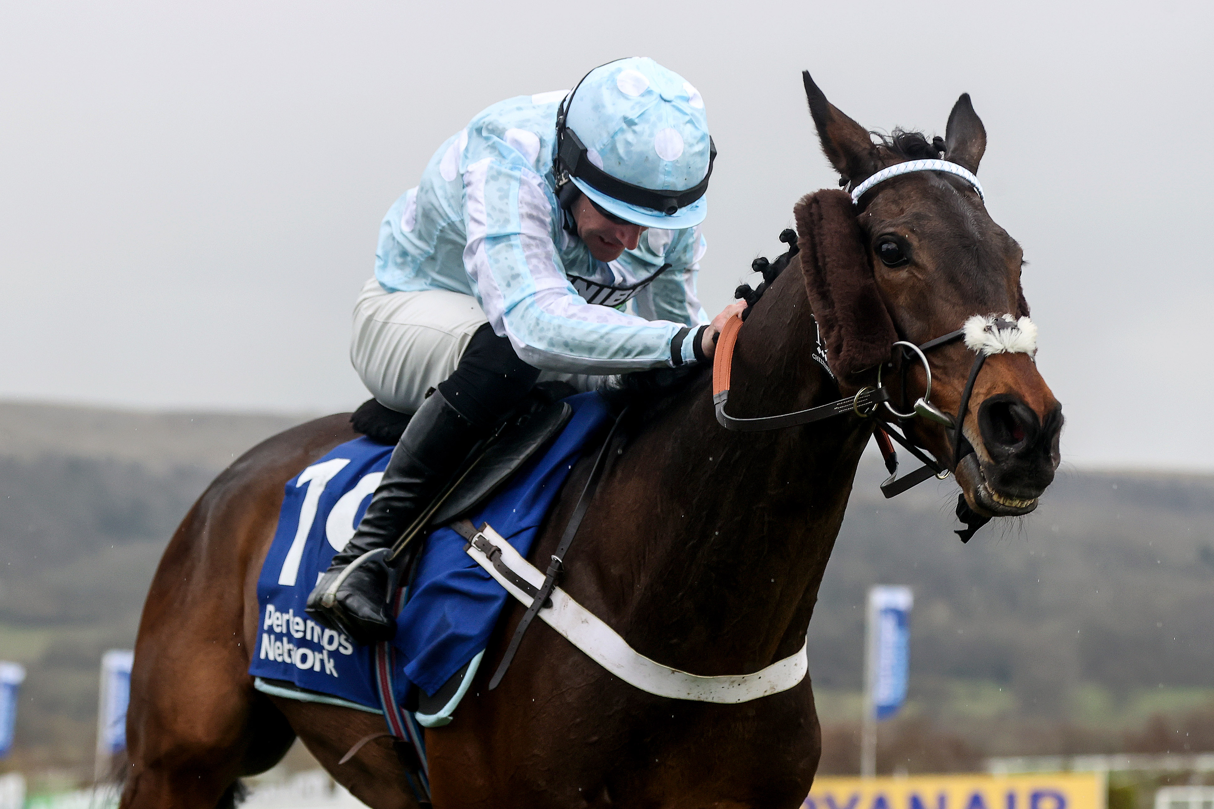 Doddiethegreat wins the Pertemps Network Handicap Hurdle at Cheltenham