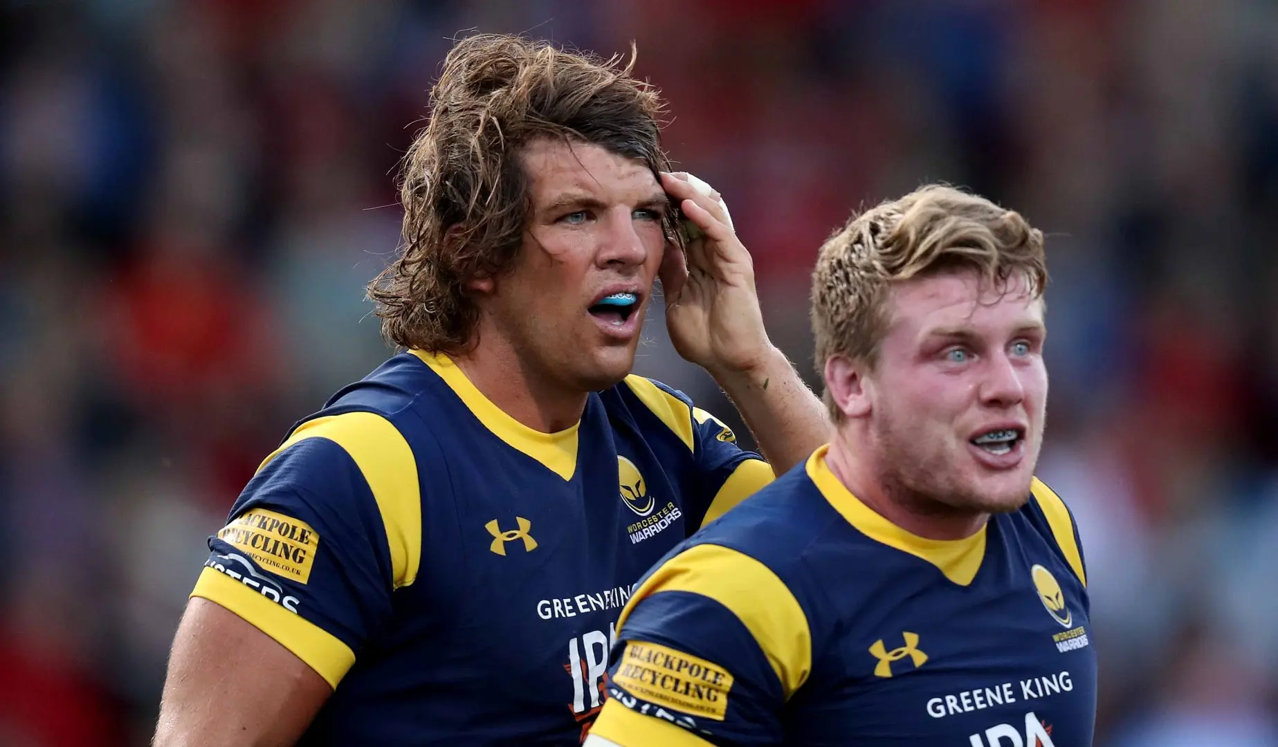 LionsWatch Club Profile: Worcester Warriors